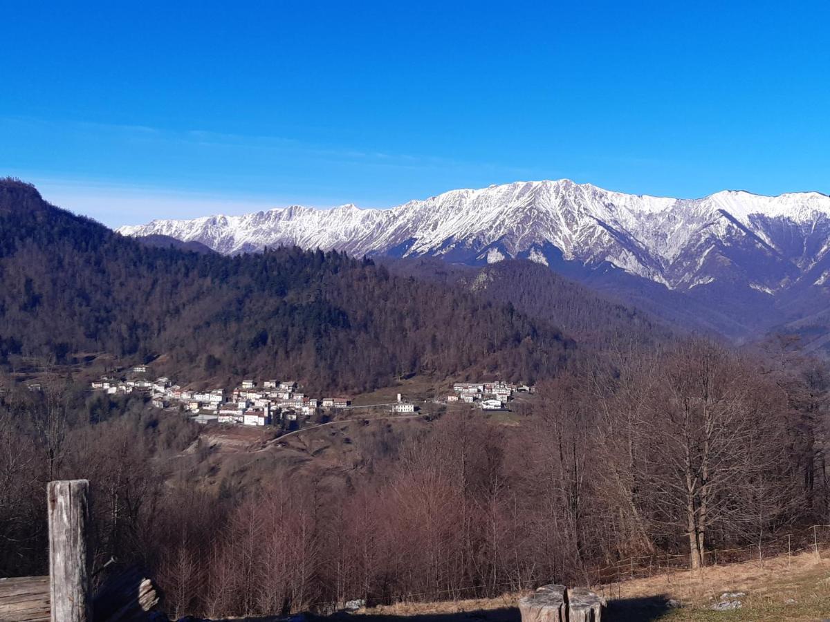 Hisa Vojko Apartment Kobarid Bagian luar foto